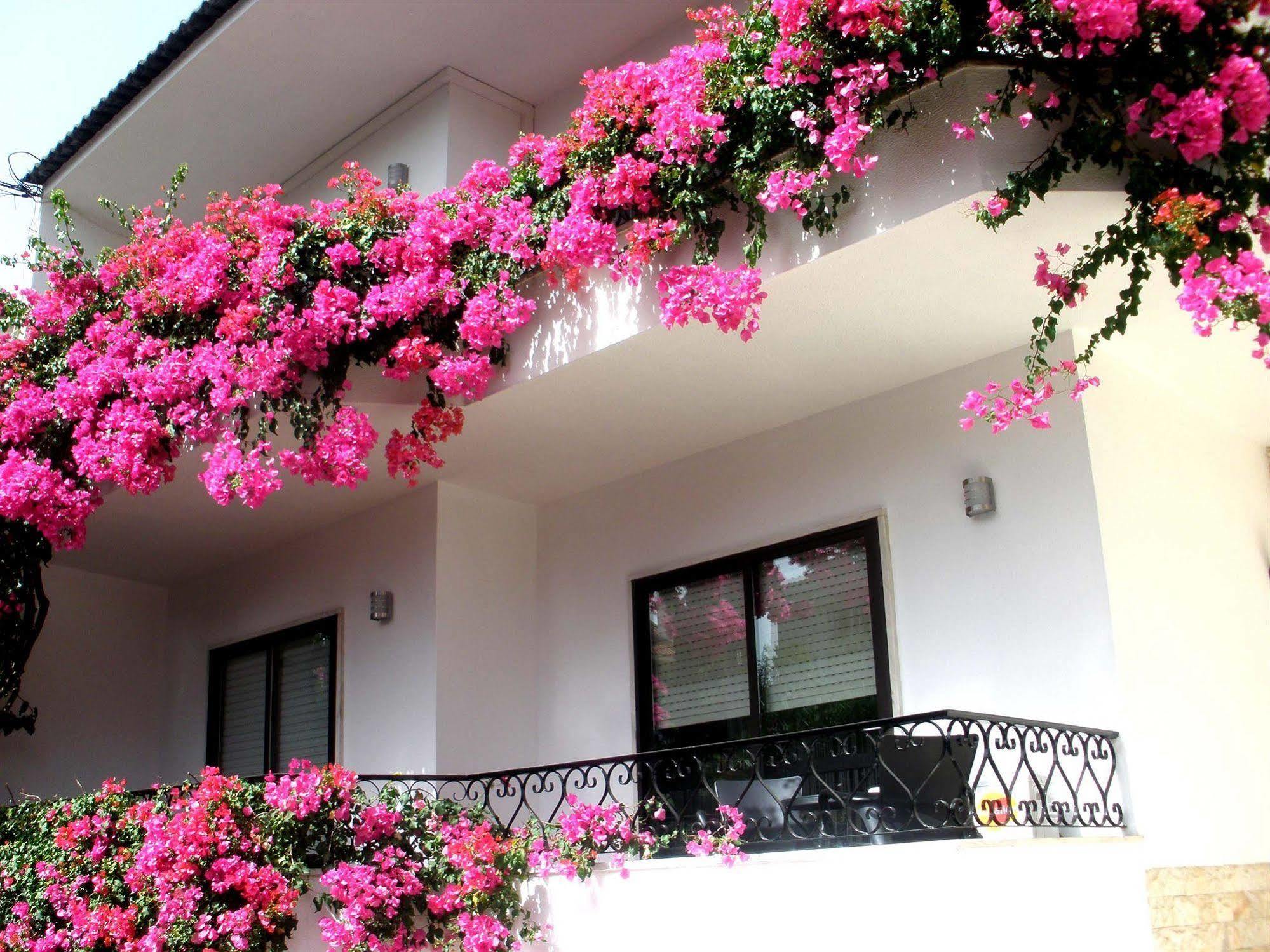 Dolce Cascais Guest House Ngoại thất bức ảnh